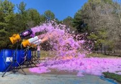 30 min Gender Reveal
