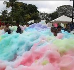 1 hour Gender Reveal